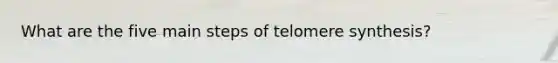 What are the five main steps of telomere synthesis?