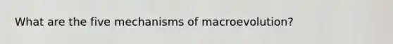 What are the five mechanisms of macroevolution?