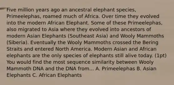 Five million years ago an ancestral elephant species, Primeelephas, roamed much of Africa. Over time they evolved into the modern African Elephant. Some of these Primeelephas, also migrated to Asia where they evolved into ancestors of modern Asian Elephants (Southeast Asia) and Wooly Mammoths (Siberia). Eventually the Wooly Mammoths crossed the Bering Straits and entered North America. Modern Asian and African elephants are the only species of elephants still alive today. (1pt) You would find the most sequence similarity between Wooly Mammoth DNA and the DNA from... A. Primeelephas B. Asian Elephants C. African Elephants