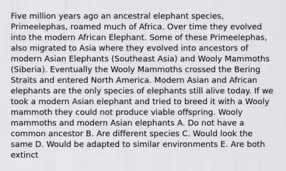 Five million years ago an ancestral elephant species, Primeelephas, roamed much of Africa. Over time they evolved into the modern African Elephant. Some of these Primeelephas, also migrated to Asia where they evolved into ancestors of modern Asian Elephants (Southeast Asia) and Wooly Mammoths (Siberia). Eventually the Wooly Mammoths crossed the Bering Straits and entered North America. Modern Asian and African elephants are the only species of elephants still alive today. If we took a modern Asian elephant and tried to breed it with a Wooly mammoth they could not produce viable offspring. Wooly mammoths and modern Asian elephants A. Do not have a common ancestor B. Are different species C. Would look the same D. Would be adapted to similar environments E. Are both extinct