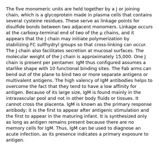The five monomeric units are held together by a J or joining chain, which is a glycoprotein made in plasma cells that contains several cysteine residues. These serve as linkage points for disulfide bonds between two adjacent monomers. Linkage occurs at the carboxy-terminal end of two of the μ chains, and it appears that the J chain may initiate polymerization by stabilizing FC sulfhydryl groups so that cross-linking can occur. The J chain also facilitates secretion at mucosal surfaces. The molecular weight of the J chain is approximately 15,000. One J chain is present per pentamer. IgM thus configured assumes a starlike shape with 10 functional binding sites. The Fab arms can bend out of the plane to bind two or more separate antigens or multivalent antigens. The high valency of IgM antibodies helps to overcome the fact that they tend to have a low affinity for antigen. Because of its large size, IgM is found mainly in the intravascular pool and not in other body fluids or tissues. It cannot cross the placenta. IgM is known as the primary response antibody; it is the first to appear after antigenic stimulation and the first to appear in the maturing infant. It is synthesized only as long as antigen remains present because there are no memory cells for IgM. Thus, IgM can be used to diagnose an acute infection, as its presence indicates a primary exposure to antigen.