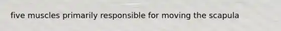 five muscles primarily responsible for moving the scapula