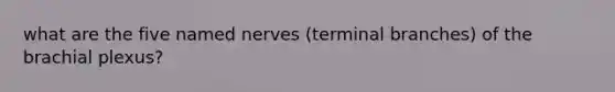 what are the five named nerves (terminal branches) of the brachial plexus?