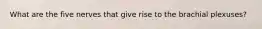 What are the five nerves that give rise to the brachial plexuses?