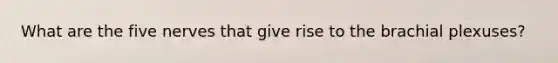 What are the five nerves that give rise to the brachial plexuses?