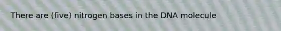 There are (five) nitrogen bases in the DNA molecule