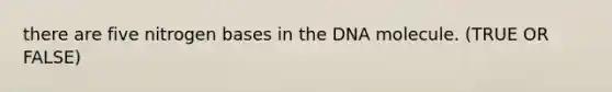 there are five nitrogen bases in the DNA molecule. (TRUE OR FALSE)