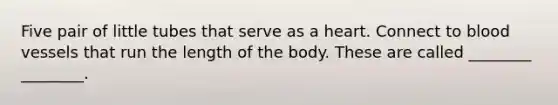 Five pair of little tubes that serve as a heart. Connect to blood vessels that run the length of the body. These are called ________ ________.