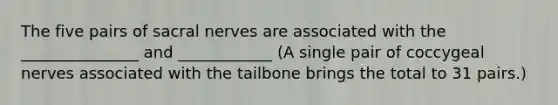 The five pairs of sacral nerves are associated with the _______________ and ____________ (A single pair of coccygeal nerves associated with the tailbone brings the total to 31 pairs.)