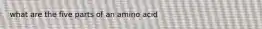 what are the five parts of an amino acid