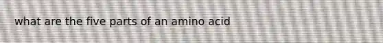 what are the five parts of an amino acid