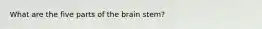 What are the five parts of the brain stem?