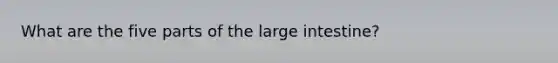 What are the five parts of the large intestine?