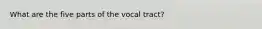 What are the five parts of the vocal tract?