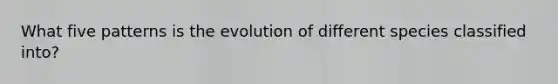 What five patterns is the evolution of different species classified into?