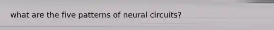 what are the five patterns of neural circuits?