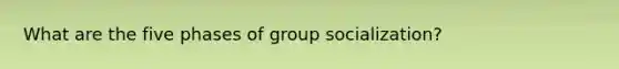 What are the five phases of group socialization?