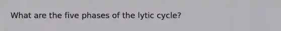 What are the five phases of the lytic cycle?