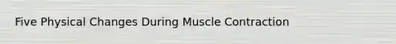 Five Physical Changes During Muscle Contraction