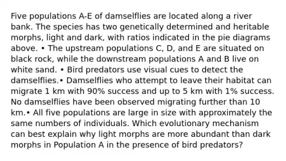 Five populations A-E of damselflies are located along a river bank. The species has two genetically determined and heritable morphs, light and dark, with ratios indicated in the pie diagrams above. • The upstream populations C, D, and E are situated on black rock, while the downstream populations A and B live on white sand. • Bird predators use visual cues to detect the damselflies.• Damselflies who attempt to leave their habitat can migrate 1 km with 90% success and up to 5 km with 1% success. No damselflies have been observed migrating further than 10 km.• All five populations are large in size with approximately the same numbers of individuals. Which evolutionary mechanism can best explain why light morphs are more abundant than dark morphs in Population A in the presence of bird predators?