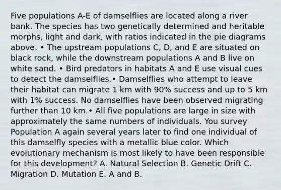 Five populations A-E of damselflies are located along a river bank. The species has two genetically determined and heritable morphs, light and dark, with ratios indicated in the pie diagrams above. • The upstream populations C, D, and E are situated on black rock, while the downstream populations A and B live on white sand. • Bird predators in habitats A and E use visual cues to detect the damselflies.• Damselflies who attempt to leave their habitat can migrate 1 km with 90% success and up to 5 km with 1% success. No damselflies have been observed migrating further than 10 km.• All five populations are large in size with approximately the same numbers of individuals. You survey Population A again several years later to find one individual of this damselfly species with a metallic blue color. Which evolutionary mechanism is most likely to have been responsible for this development? A. Natural Selection B. Genetic Drift C. Migration D. Mutation E. A and B.