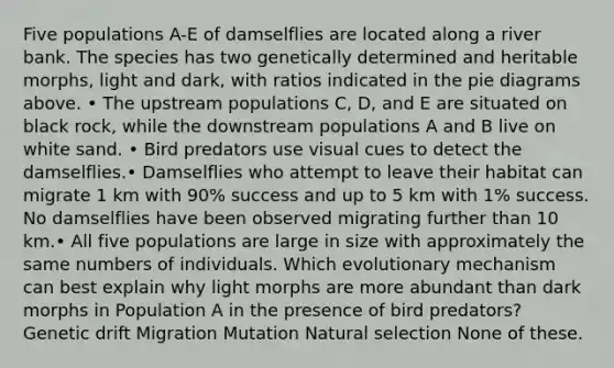 Five populations A-E of damselflies are located along a river bank. The species has two genetically determined and heritable morphs, light and dark, with ratios indicated in the pie diagrams above. • The upstream populations C, D, and E are situated on black rock, while the downstream populations A and B live on white sand. • Bird predators use visual cues to detect the damselflies.• Damselflies who attempt to leave their habitat can migrate 1 km with 90% success and up to 5 km with 1% success. No damselflies have been observed migrating further than 10 km.• All five populations are large in size with approximately the same numbers of individuals. Which evolutionary mechanism can best explain why light morphs are more abundant than dark morphs in Population A in the presence of bird predators? Genetic drift Migration Mutation Natural selection None of these.