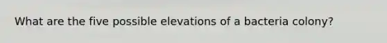 What are the five possible elevations of a bacteria colony?