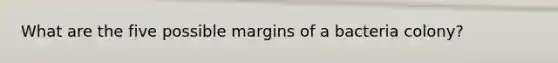 What are the five possible margins of a bacteria colony?