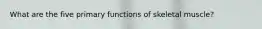 What are the five primary functions of skeletal muscle?