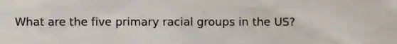 What are the five primary racial groups in the US?
