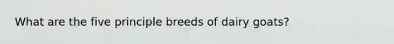 What are the five principle breeds of dairy goats?