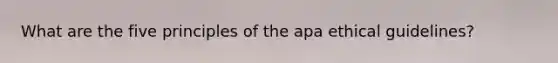 What are the five principles of the apa ethical guidelines?