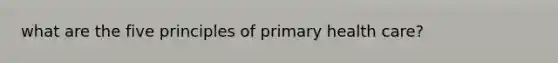 what are the five principles of primary health care?