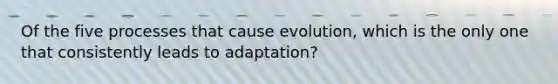 Of the five processes that cause evolution, which is the only one that consistently leads to adaptation?