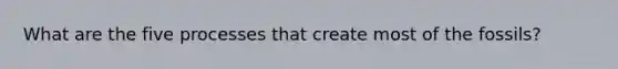 What are the five processes that create most of the fossils?