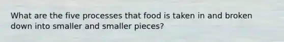 What are the five processes that food is taken in and broken down into smaller and smaller pieces?