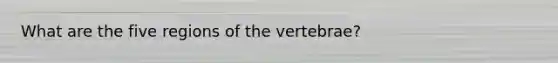 What are the five regions of the vertebrae?