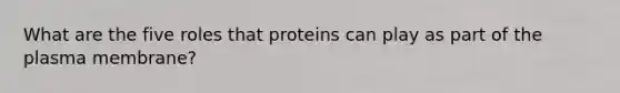 What are the five roles that proteins can play as part of the plasma membrane?