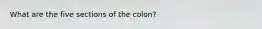 What are the five sections of the colon?