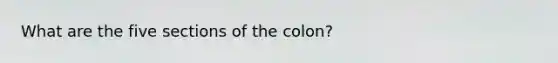 What are the five sections of the colon?