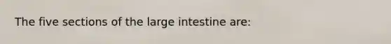 The five sections of the large intestine are: