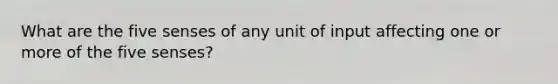 What are the five senses of any unit of input affecting one or more of the five senses?