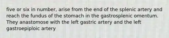 five or six in number, arise from the end of the splenic artery and reach the fundus of the stomach in the gastrosplenic omentum. They anastomose with the left gastric artery and the left gastroepiploic artery