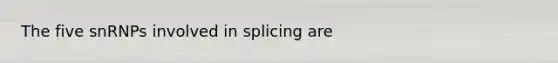 The five snRNPs involved in splicing are