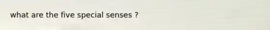 what are the five special senses ?