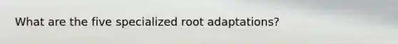 What are the five specialized root adaptations?