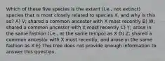 Which of these five species is the extant (i.e., not extinct) species that is most closely related to species X, and why is this so? A) V; shared a common ancestor with X most recently B) W; shared a common ancestor with X most recently C) Y; arose in the same fashion (i.e., at the same tempo) as X D) Z; shared a common ancestor with X most recently, and arose in the same fashion as X E) This tree does not provide enough information to answer this question.