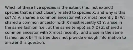 Which of these five species is the extant (i.e., not extinct) species that is most closely related to species X, and why is this so? A) V; shared a common ancestor with X most recently B) W; shared a common ancestor with X most recently C) Y; arose in the same fashion (i.e., at the same tempo) as X D) Z; shared a common ancestor with X most recently, and arose in the same fashion as X E) This tree does not provide enough information to answer this question.