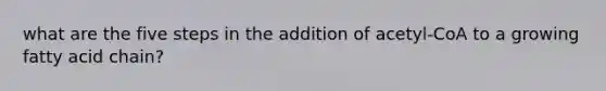 what are the five steps in the addition of acetyl-CoA to a growing fatty acid chain?