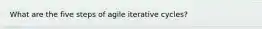 What are the five steps of agile iterative cycles?